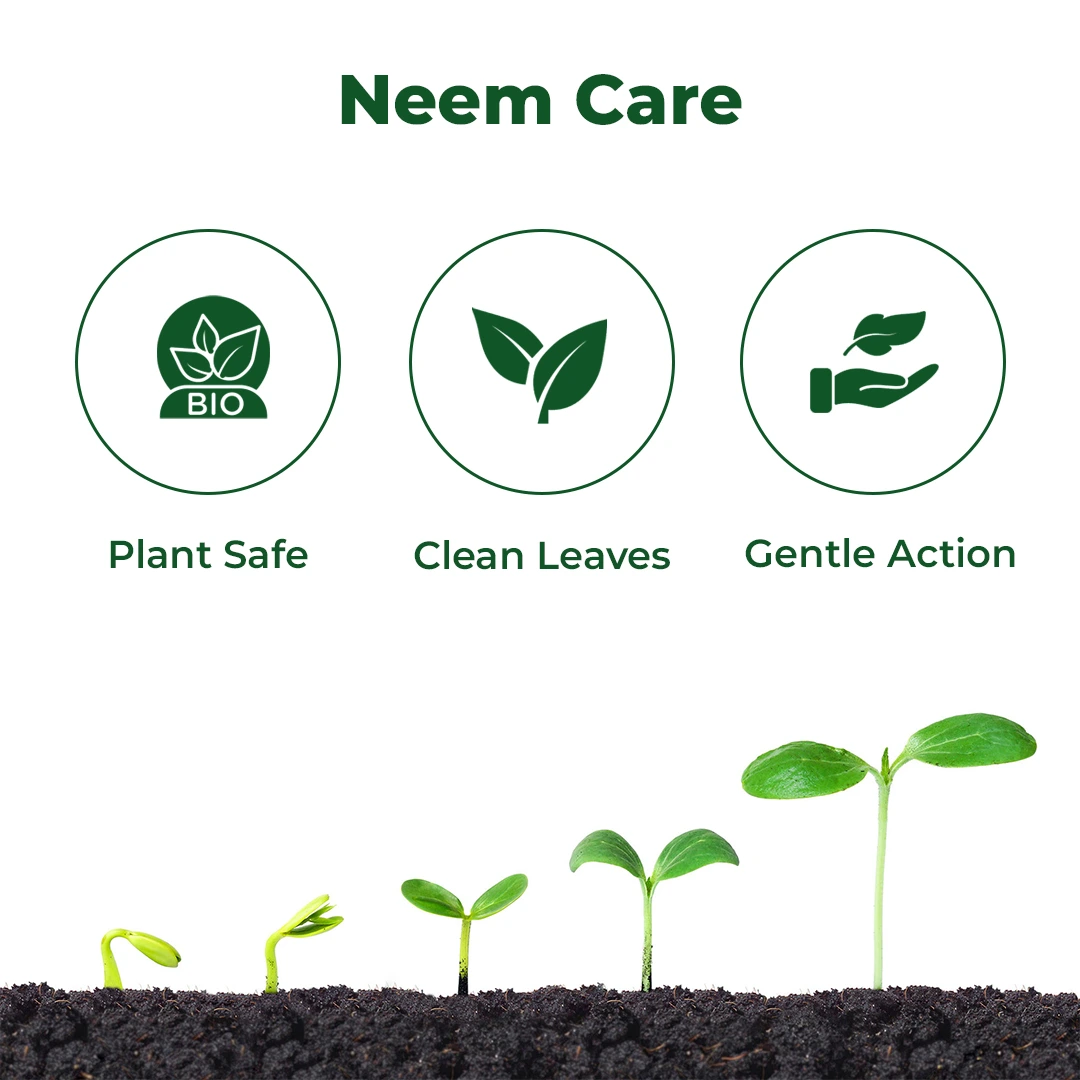 EBS Neem Oil - Image 3