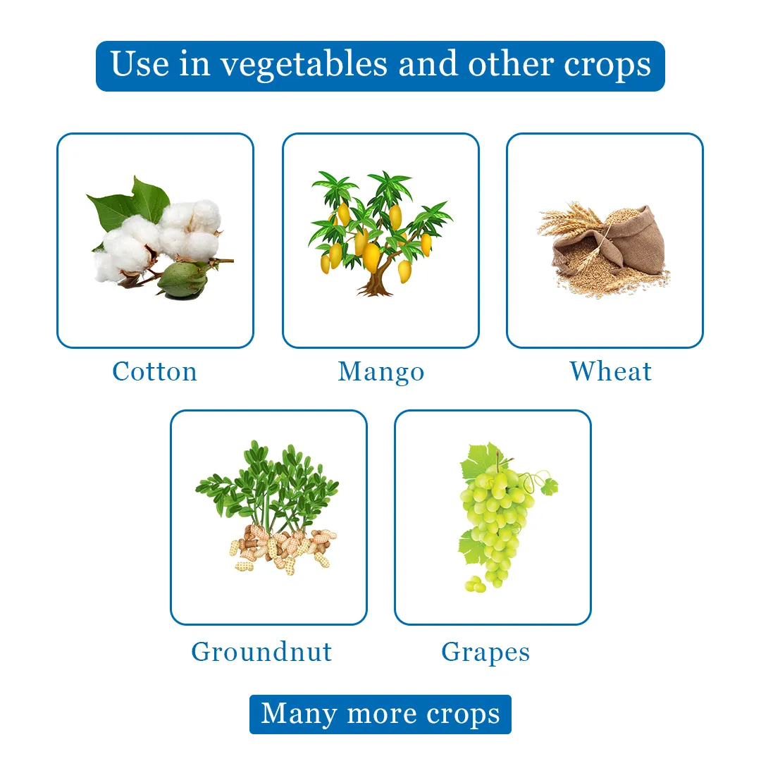 EBS Metman Fungicide - Image 4