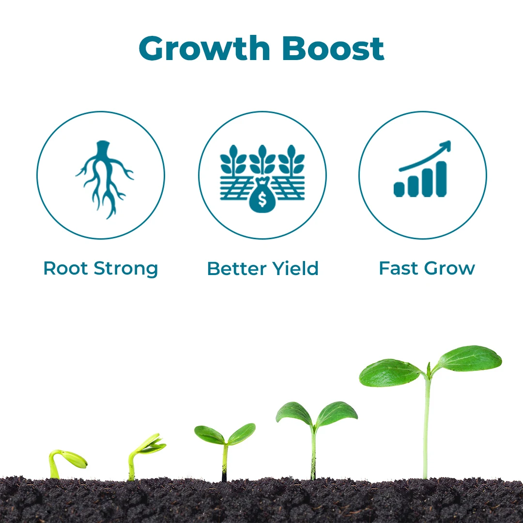 बीएसीएफ एक्सऑन - प्लांट ग्रोथ प्रमोटर, एनपीके बैक्टीरिया, पीजीपीआर, समुद्री शैवाल, ह्युमिक, संपर्क और प्रणालीगत कार्रवाई के साथ संपर्क. - Image 3