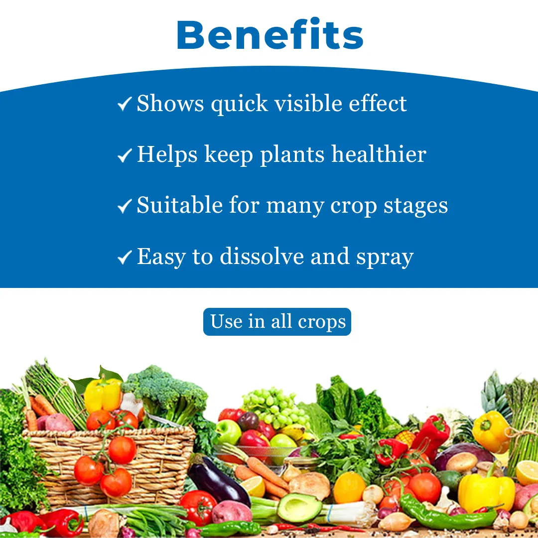 EBS THIOMAX SUPER Thiamethoxam 75% SG Broad Spectrum Insecticide, Systemic Action - Image 4