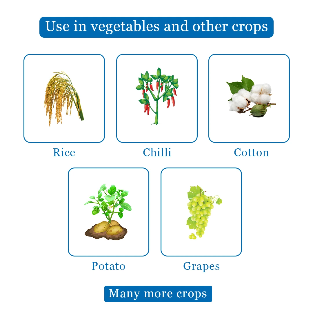 Agriventure Profen (Profenophos 50% EC) Insecticide, Control Bollworms, Jassids, Aphids - Image 4