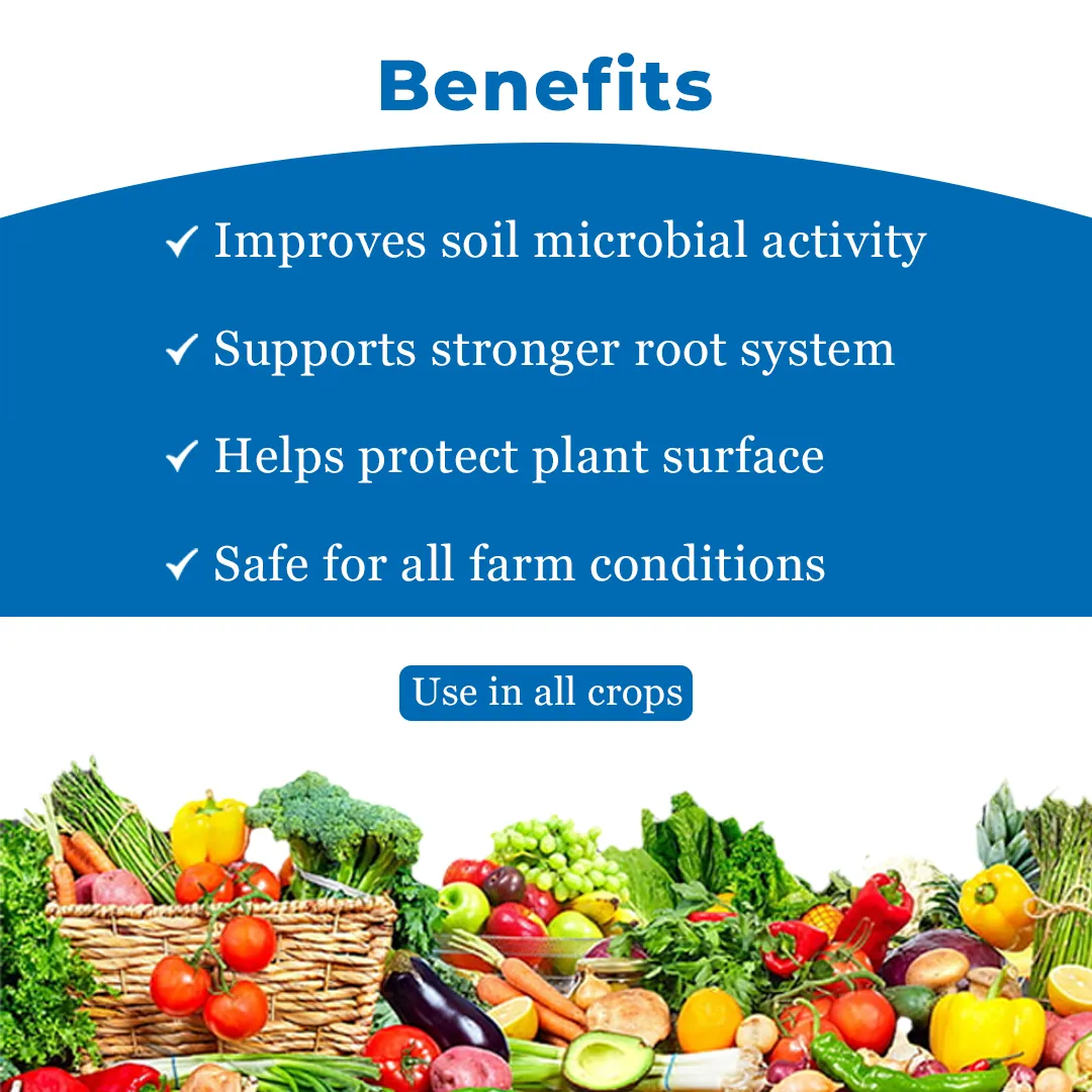 EBS Pseudomonas Fluorescence Bio Fungicide, Controlling Diseases Like Root Rot, Stem Rot, Collar Rot On All Crops. - Image 4
