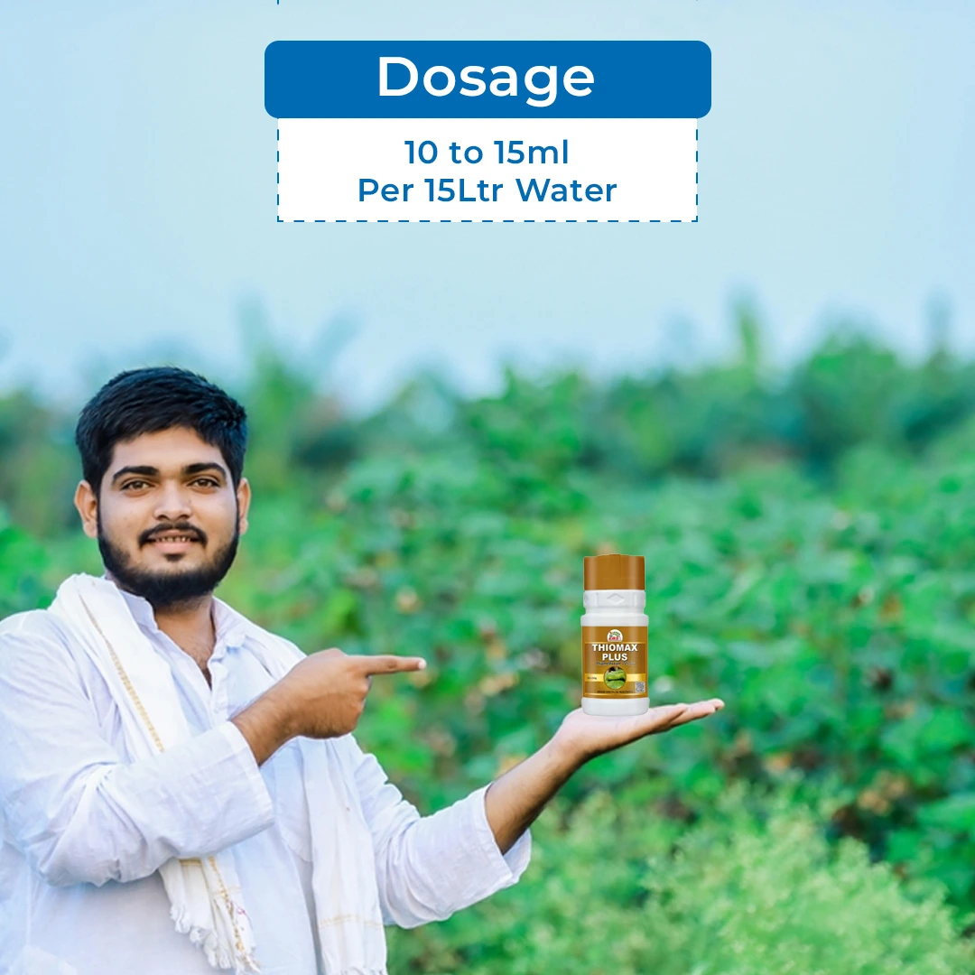 EBS THIOMAX SUPER Thiamethoxam 75% SG Broad Spectrum Insecticide, Systemic Action - Image 5