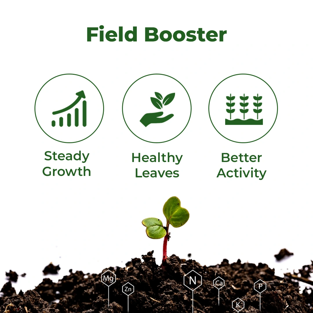 GACIL Paddy Special Liquid Micronutrient Mixture Fertilizer for Agriculture Crops - Image 3