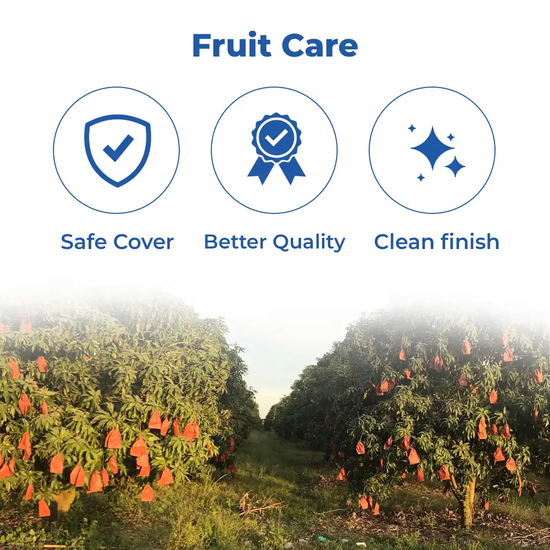 Radhe Mango Protection Bag - Image 3