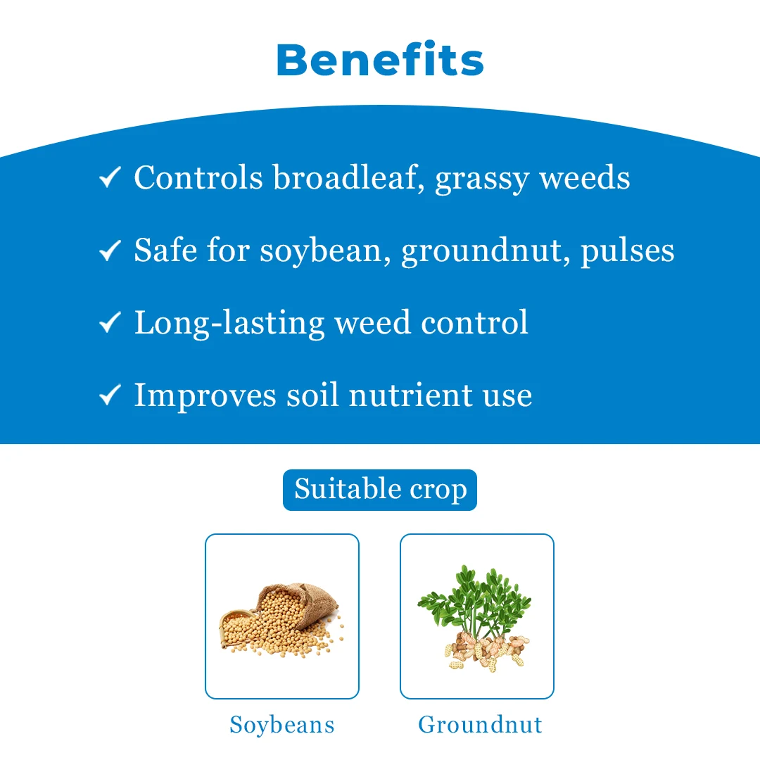 Btrail & Surfactant Herbicide - Imazethapyr 10% SL - Image 4