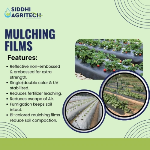 Siddhi Mulch Film Mulching Sheet, (1 Meter Width X 400 Meters Length) Black And White For Agriculture & Horticulture - Image 7