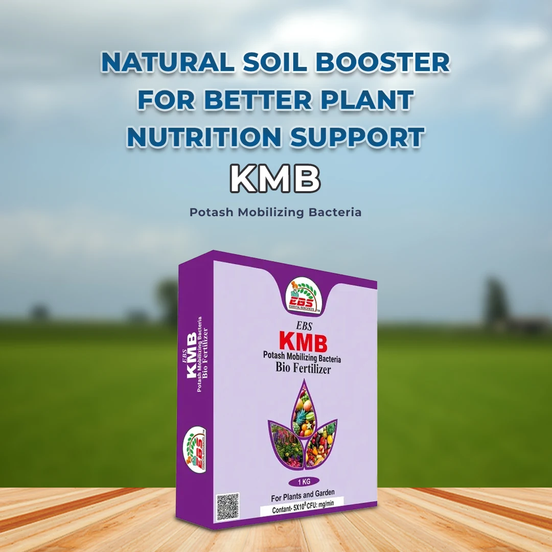 EBS KMB Potash Mobilizing Bacteria 5x10^8 CFU Bio Fertilizer, Use for Plants, Crops And Home Garden - Image 2