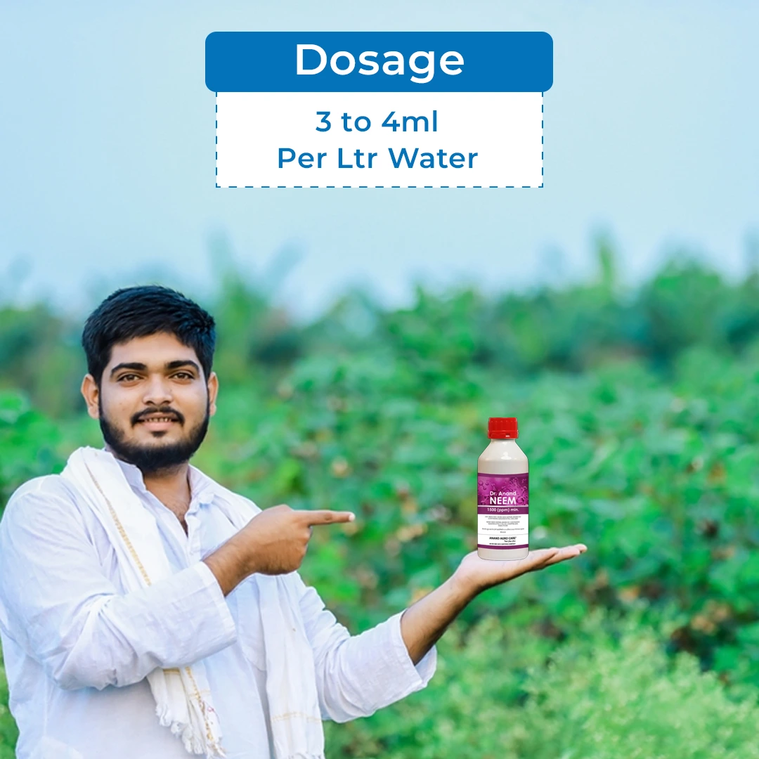 डॉ. आनंद नीम 0.15% जैव कीट नाशक, आज़ादिरैक्टिन 1500 पीपीएम और नीम बीज के कर्नेल के अर्क से तैयार। - Image 5