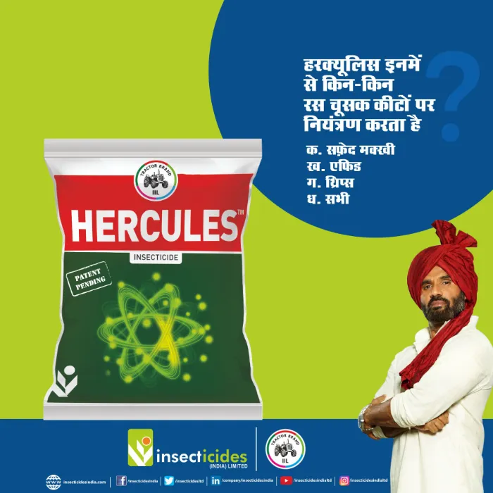 IIL HERCULES Diafenthiuron 40.1% + Acetamiprid 3.9% WP Insecticide, Effective For Sucking Pests Control In Multiple Crops - Image 4