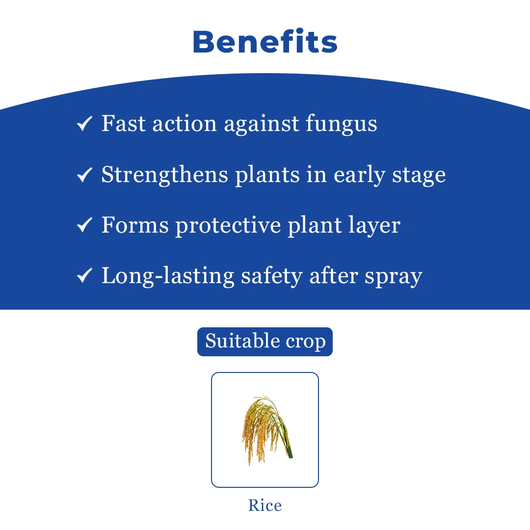 IIL Izuki Thifluzamide 26% + Kasugamycin 6% SC Fungicide, Advanced Disease Control For Paddy - Image 4