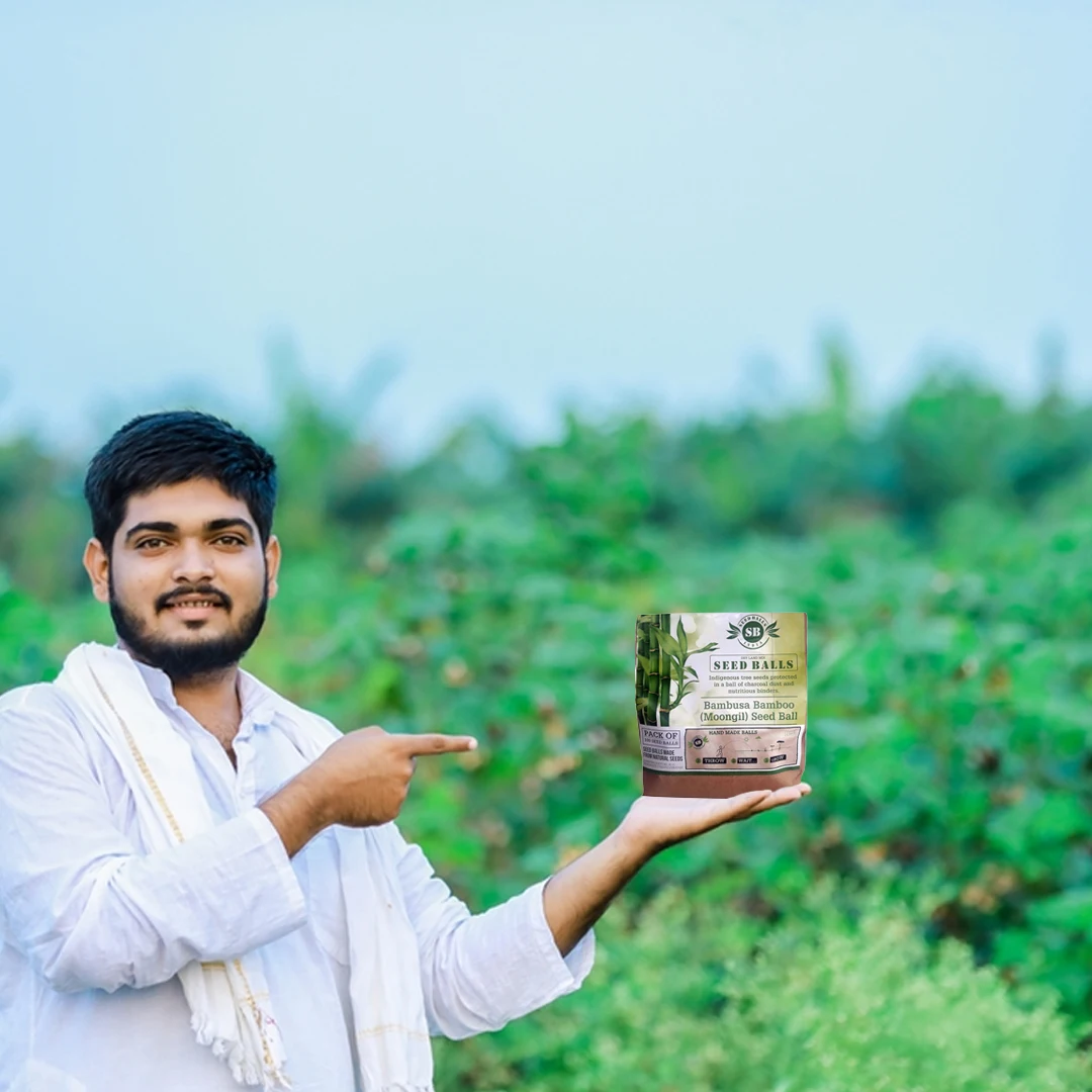 Seed Balls Just Throw & Grow (Bamboo or Mongil Seed Balls) Tree Seed Balls. Just throw on land or place in pot. - Image 5