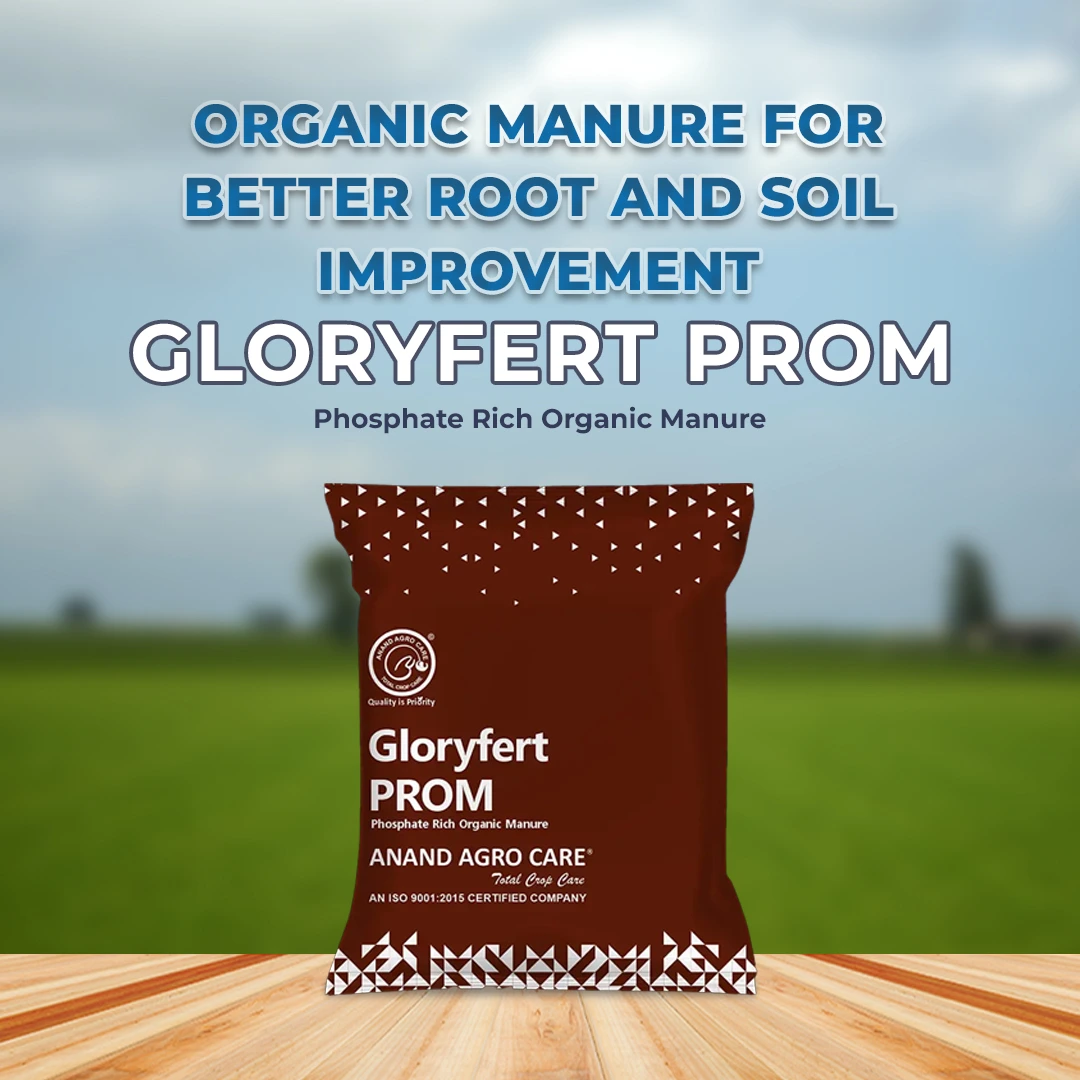 Gloryfert PROM, Phosphate Rich Organic Manure , Organic Granules ,Increase Activities Of Beneficial Micro Organisms In The Soil - Image 2