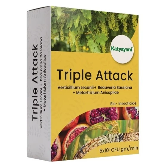Katyayani Triple Attack Bio Pesticide, Verticillium Lecanii + Beauveria Bassiana + Metarhizium Anisopliae