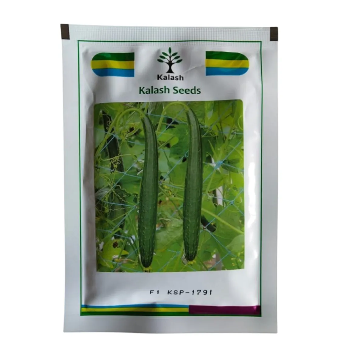 Kalash KSP 1791 SITARA F1 Hybrid Sponge Gourd Seeds, Early Harvesting With Uniform Growth