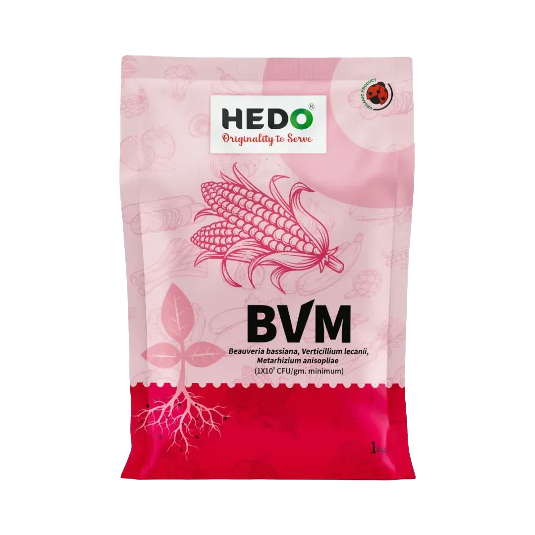 HEDO BVM (Beauveria bassiana + Verticillum Lecanii + Metarhizium Anisopliae) Powder For Agriculture, Garden & All Crops To Control Aphids