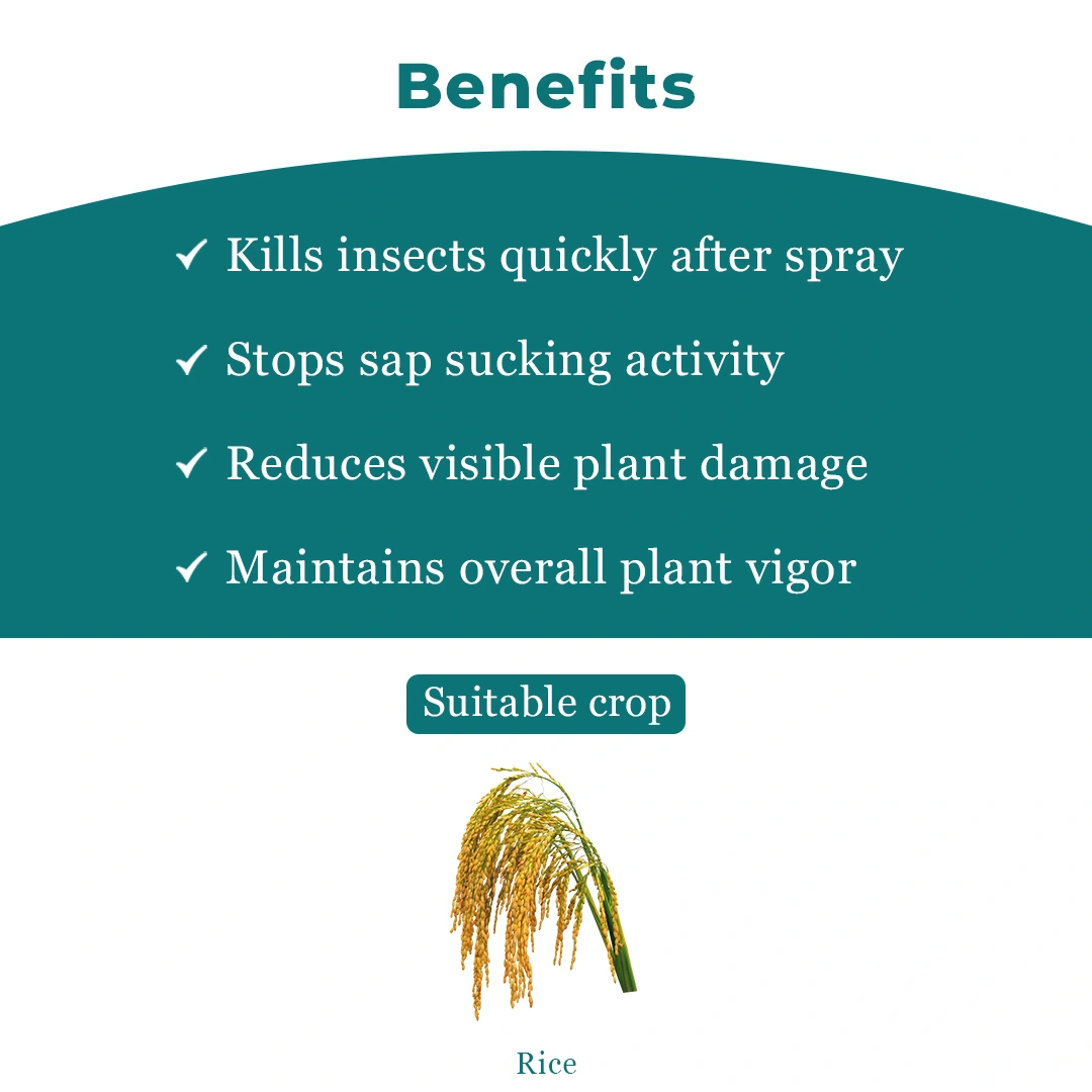 Dinopym Insecticide (Dinotefuran 15% + Pymetrozine 45% WG)