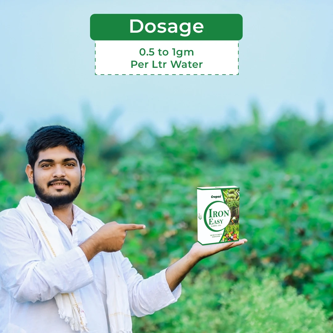 Iron Easy Fe-EDTA 12% Improves Chlorophyll formation, Prevents and Corrects Iron Deficiencies - Image 5