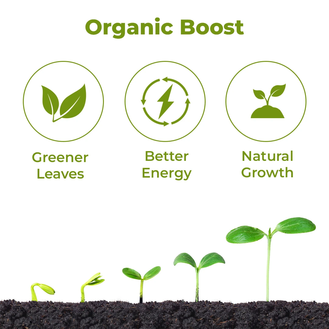 GACIL Calcium Magnesium Nitrate Liquid Micronutrient Fertilizer for Plant Growth - Image 3