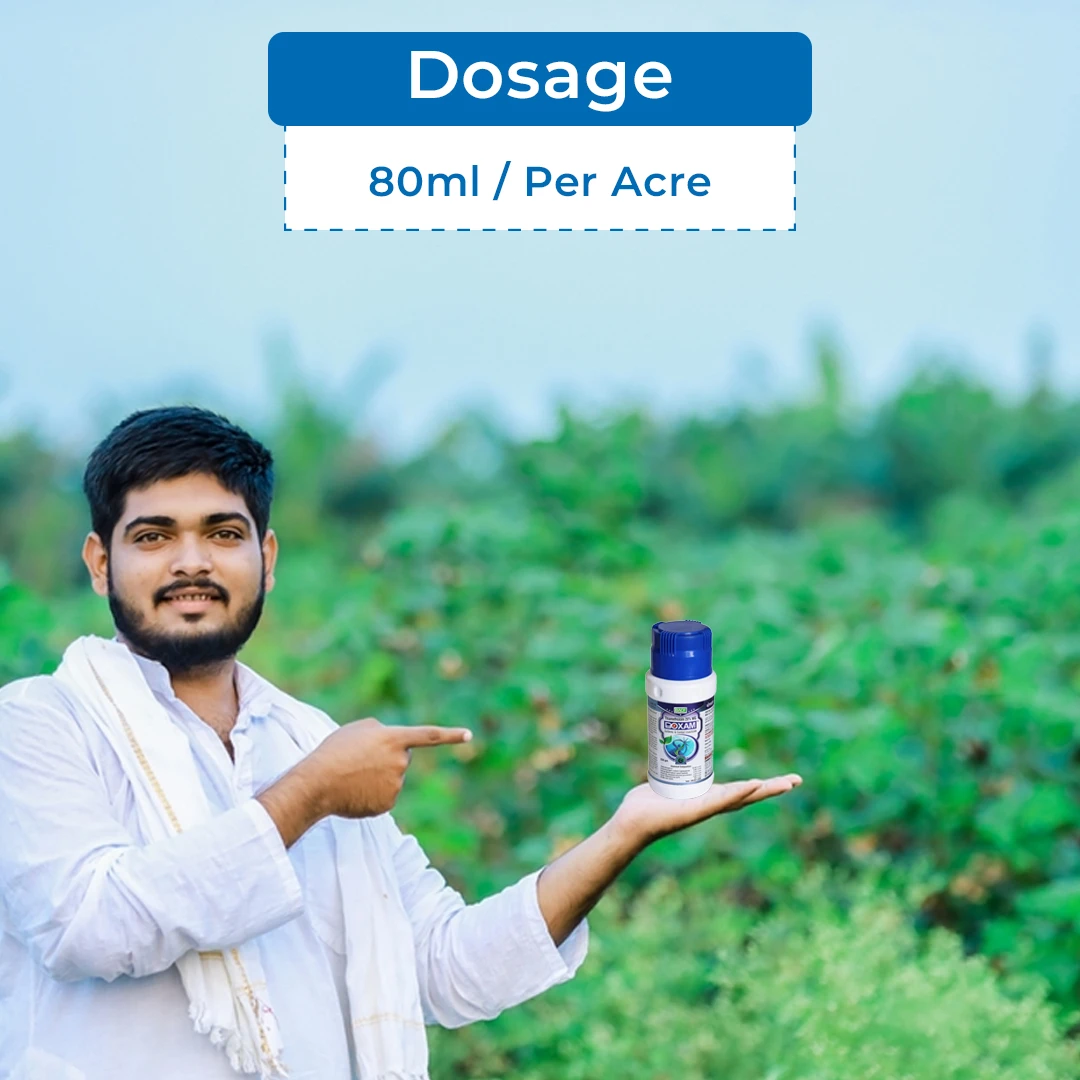 बीएसीएफ बॉक्सम - थियामेथोक्सम 25% डब्ल्यूजी. कीटनाशक, प्रणालीगत और संपर्क कीटनाशक. - Image 5