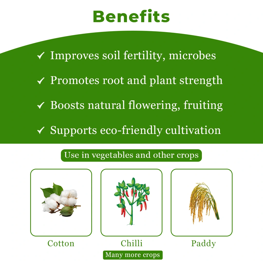 ऑर्कॉन+ एंटीफीडेंट गुणों वाला विशेष सहायक। मिर्च, कपास और धान के लिए, खास तौर पर मिर्च की फसल में ब्लैक थ्रिप्स के लिए। - Image 4
