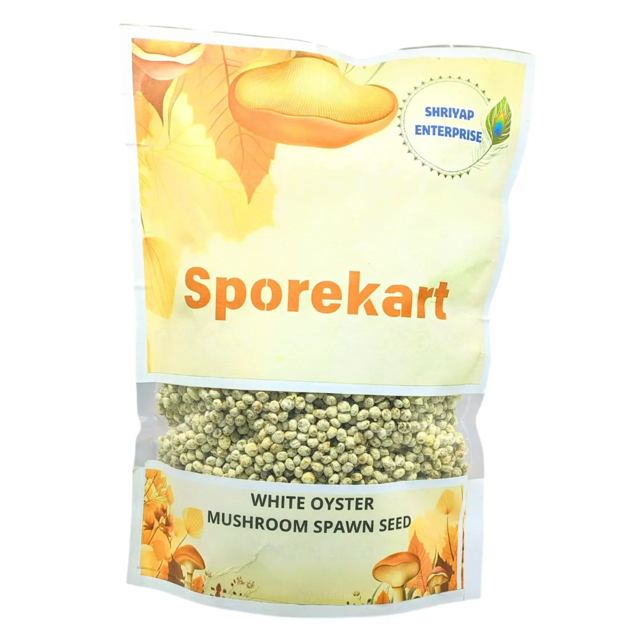 SporeKart White Oyster Mushroom Spawn, Seed White Color With Silky Surfaces   - Image 3