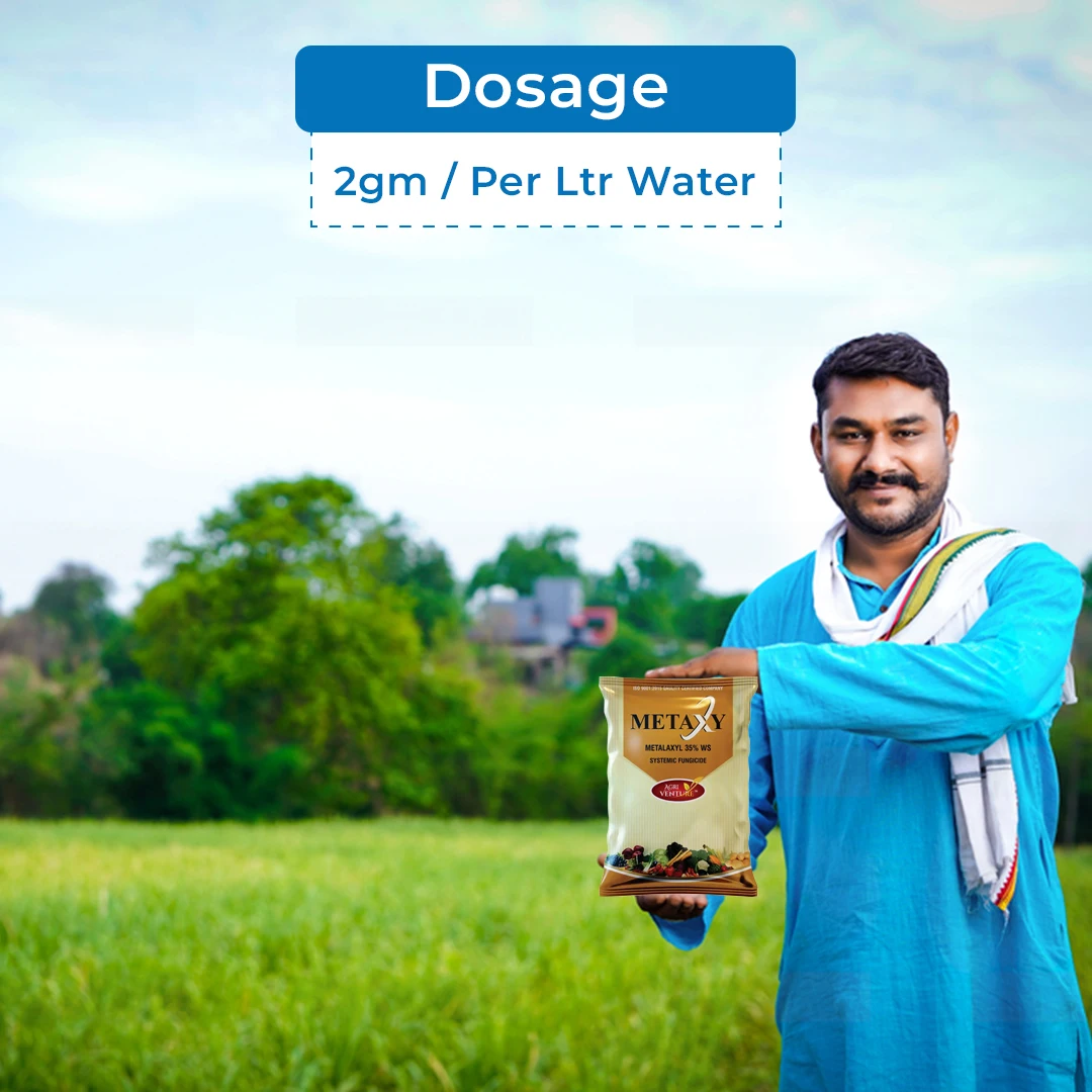 Agriventure Metaxy ( Metalaxyl 35% Ws ) Systemic Fungicide, Control Of Downy Mildew - Image 5