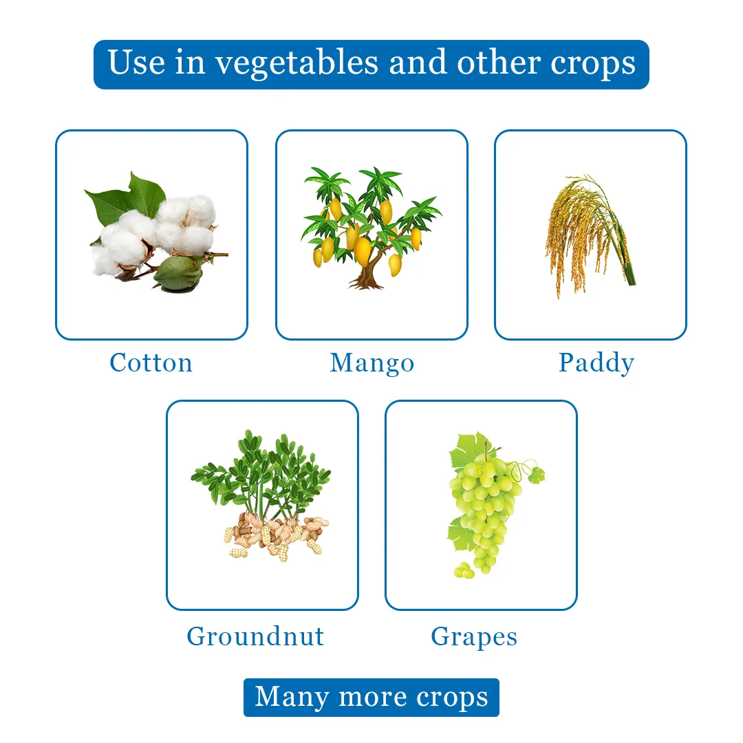 Agriventure Tebcon Gold Tebuconazole 38.39% SC Fungicide, Controls A Wide Range of Fungal Diseases, Including Powdery Mildew, Rusts. - Image 4