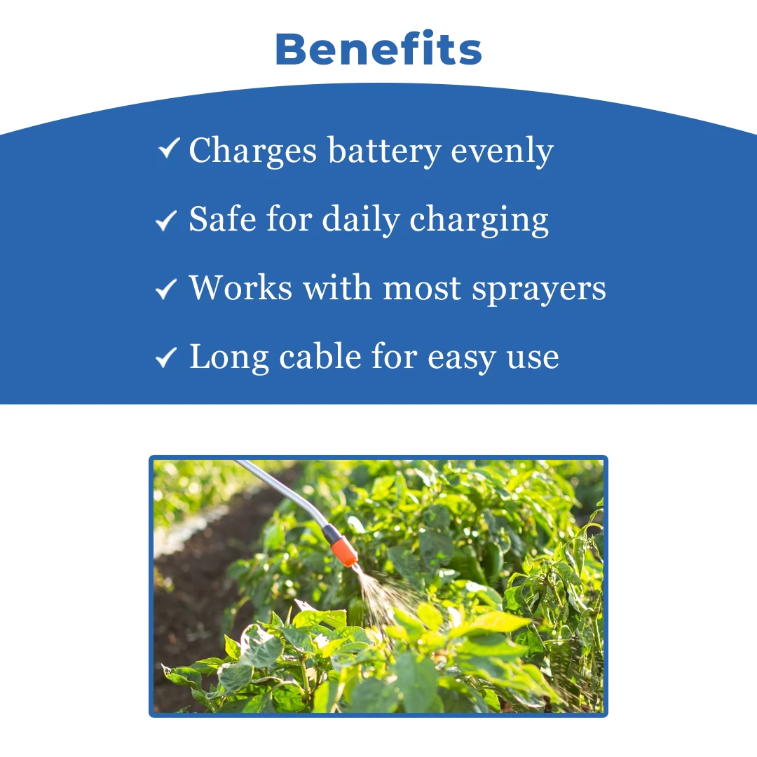 Pad Corp Sprayer Pump Battery Charger - Image 4