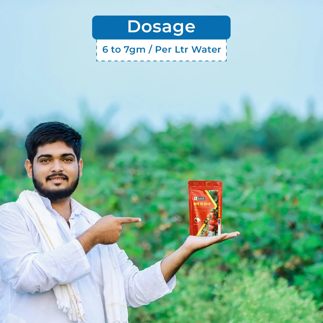 GACIL Mono Ammonium Phosphate (MAP) NPK 12:61:00 Water Soluble Fertilizer for Vegetables and Fruits - Image 5