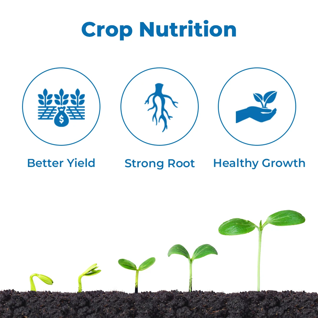 Borofix Boron Ethanolamine, Boron 10% Micro-Nutrient Fertilizer for all Crops, Improves Fruiting and Growth - Image 3