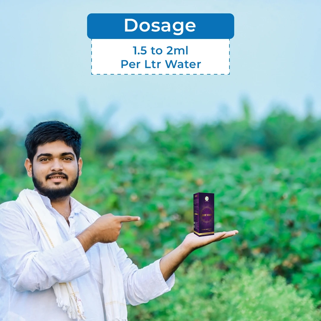 Anand Size Fast Organic Plant Growth Promoter, Natural Bio Stimulant, Increases The Rate Of Fruit Setting. - Image 5