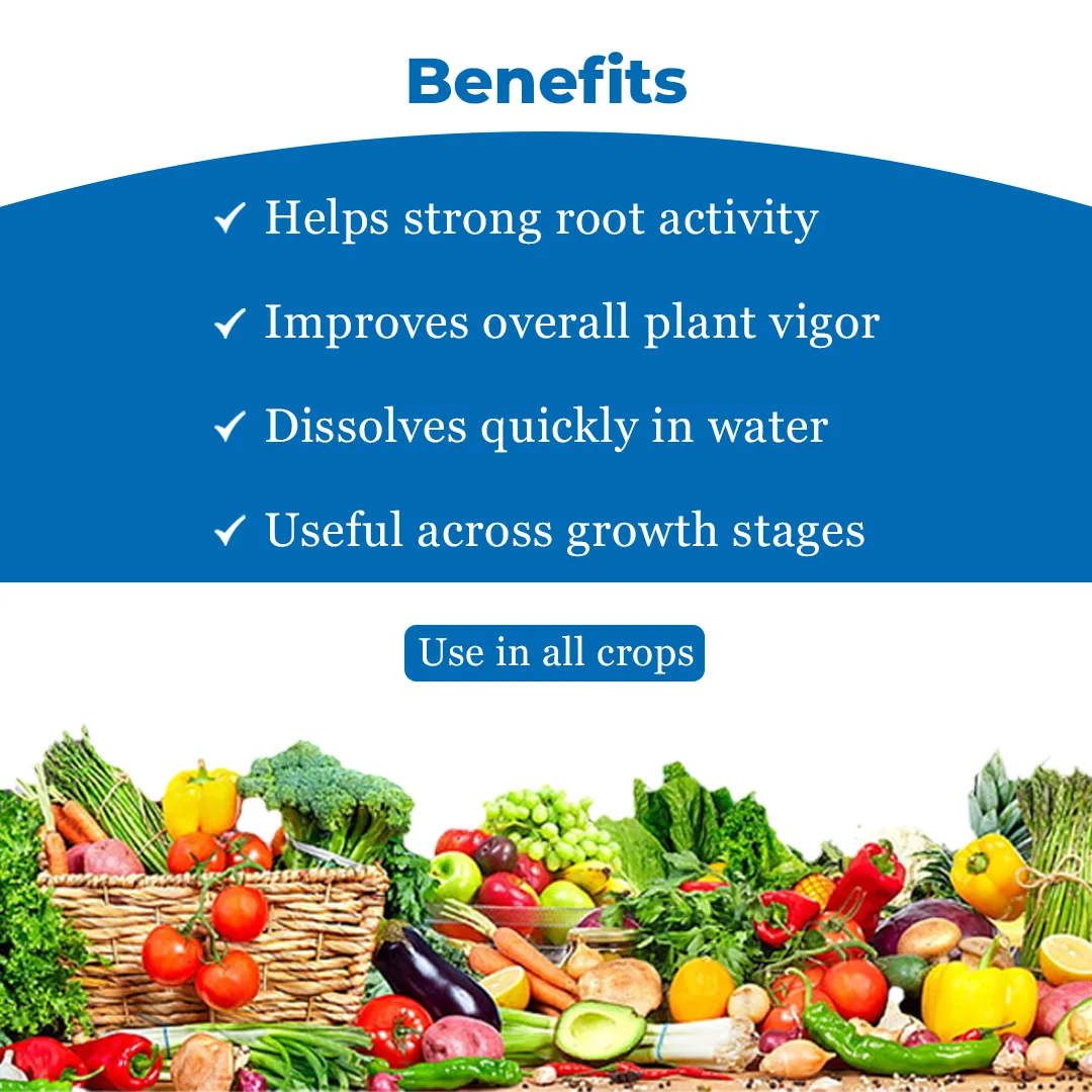 जीएसीआईएल प्लस कम्पलीट एनपीके 19:19:19 खाद - हरे सब्जियों, रसदार फलों और शानदार फूलों के लिए। - Image 4