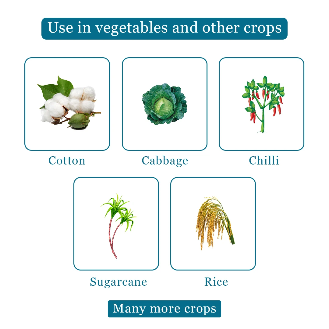 Agriventure FIPRO SILVER Fipronil 5% SC Insecticide, Excellent Thripicide And Also Shows Plant Growth Enhancement - Image 4