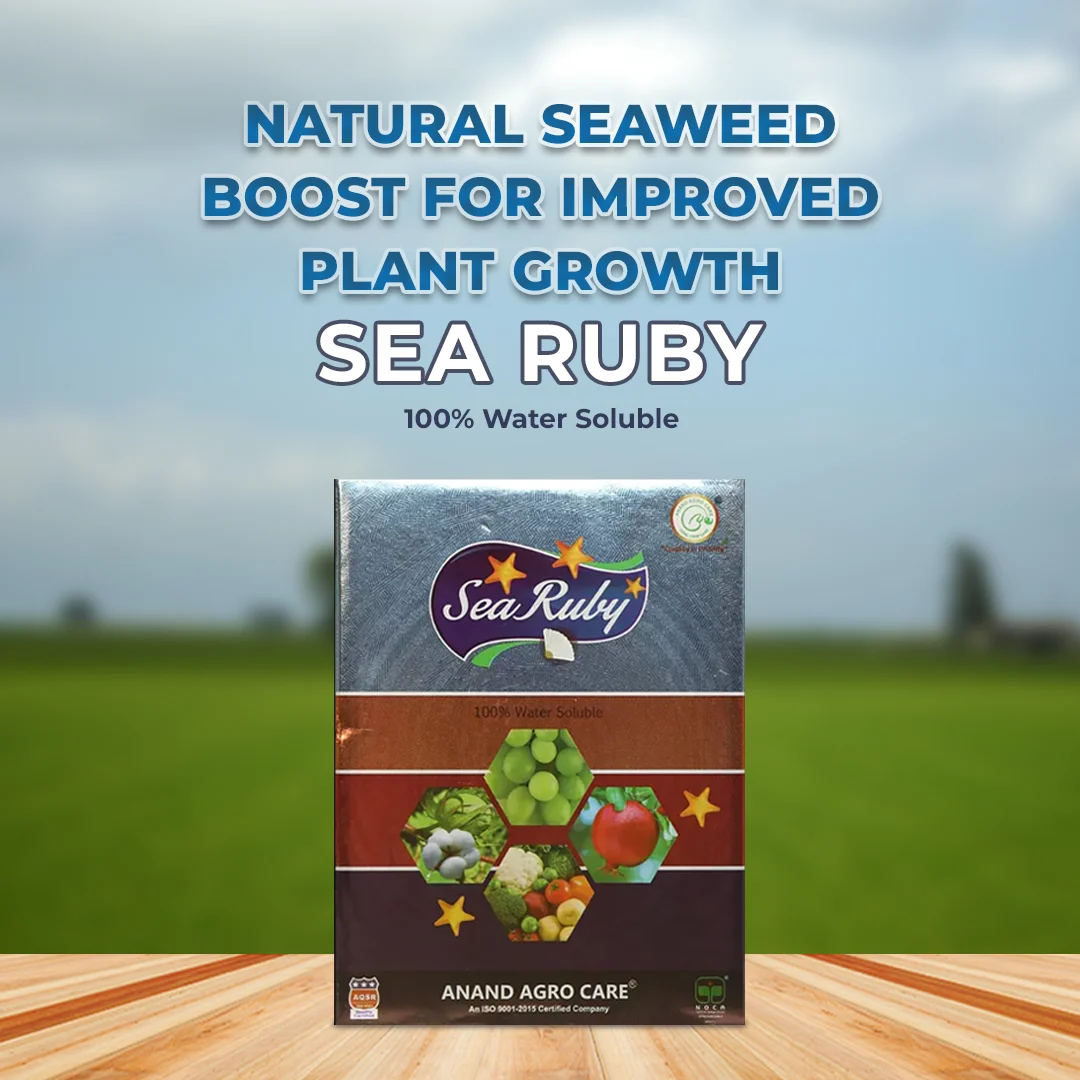 Anand Sea Ruby (Powder), 100% Water Soluble Naturally Derived Green Seaweed Extract, Enhances Yield And Marketable Quality - Image 2