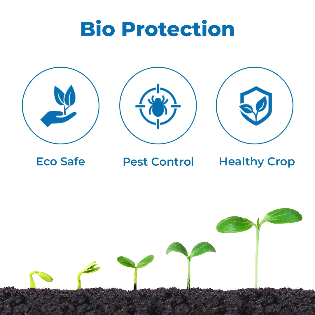 बीएसीएफ मायकोटा - ब्लूवेरिया बसियाना 1.15% डब्लूपी. जैव रसायन, इल्ली, ग्रब्स, सफ़ेद मक्खी के लिए उपयुक्त. - Image 3
