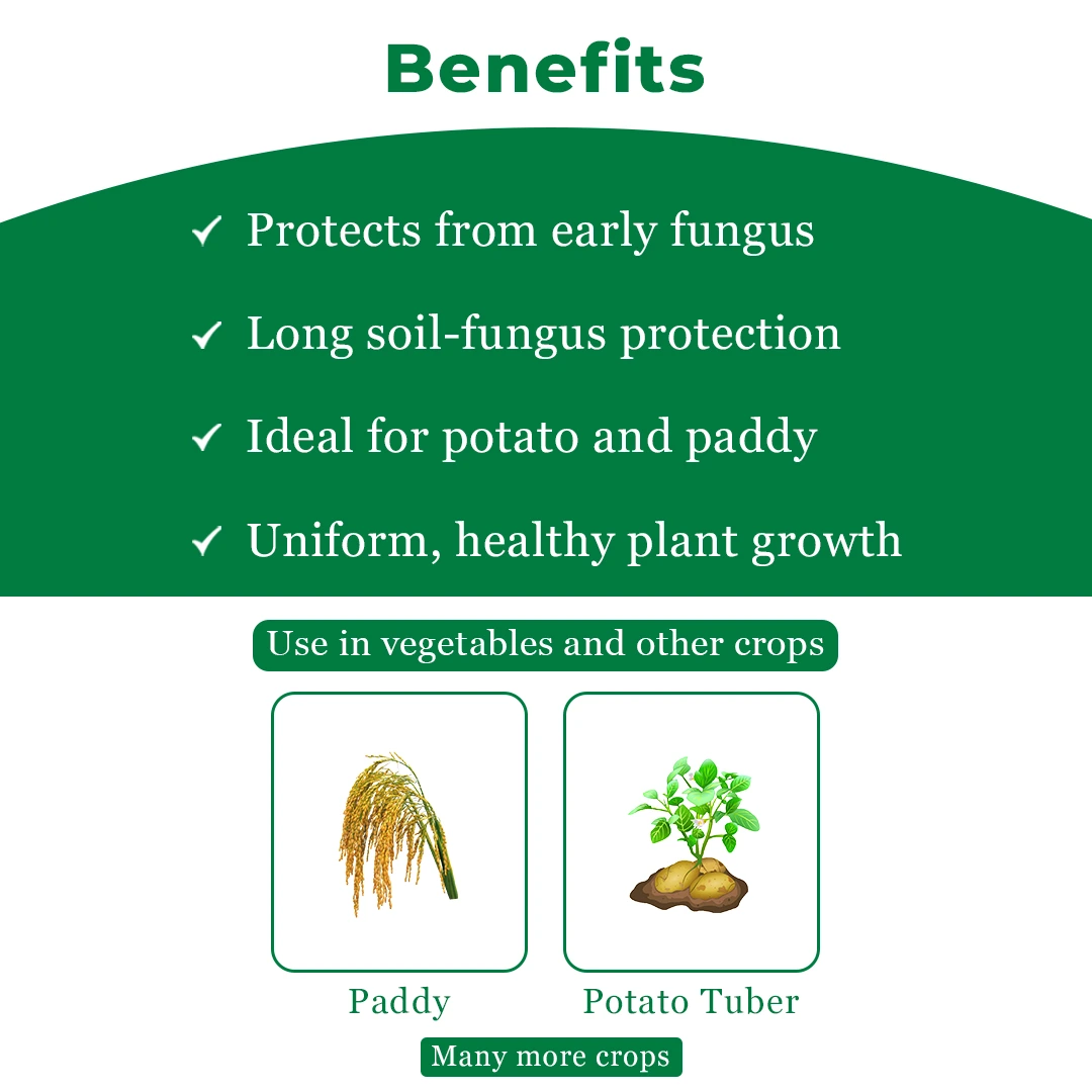 Crystal Monceren Pencycuron 22.9% SC, Non-Systemic Contact Fungicide, Used As Foliar Spray - Image 4