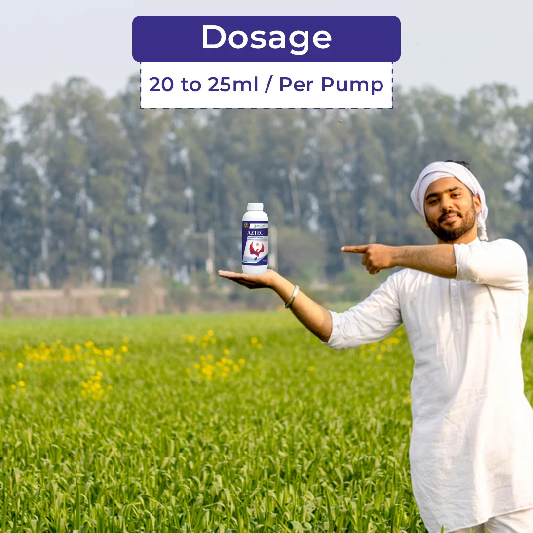 Tozo Fungicide | Buy Online