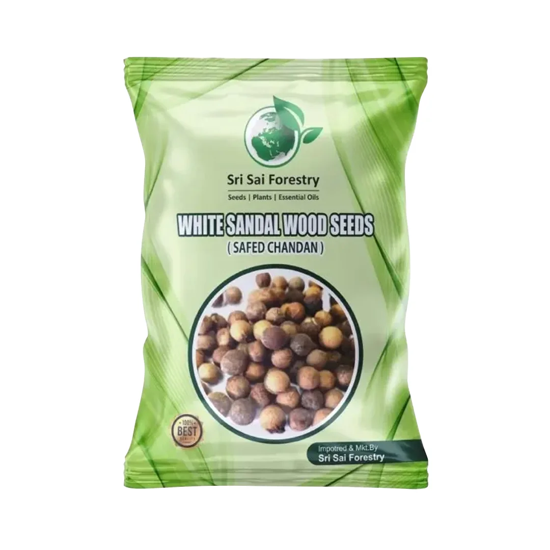 श्री साई फॉरेस्ट्री सफेद चंदन पौधा वृक्ष के बीज, सफेद चंदन वृक्ष के बीज, सभी मौसमों में उपयुक्त।