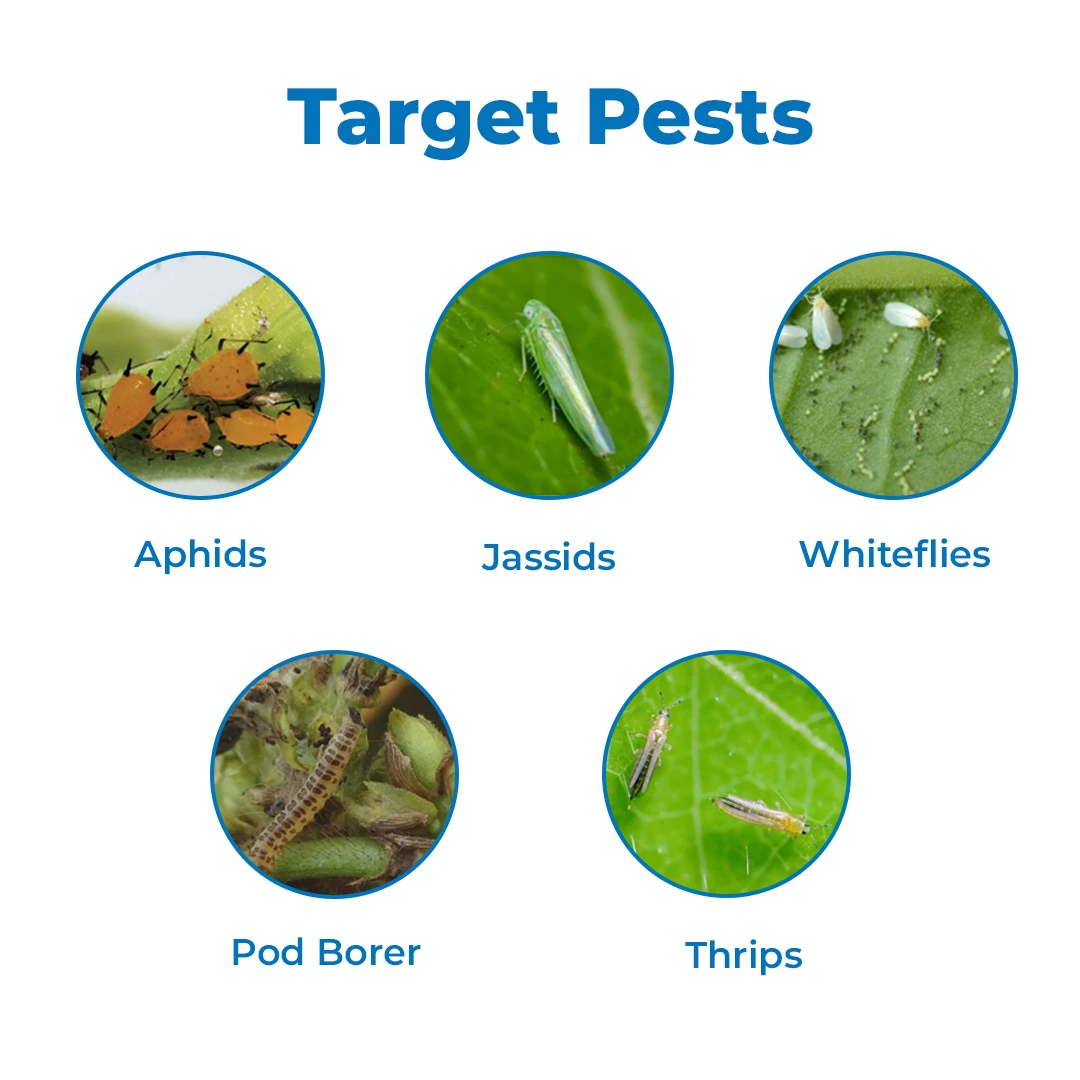 डॉ. आनंद नीम 0.15% जैव कीट नाशक, आज़ादिरैक्टिन 1500 पीपीएम और नीम बीज के कर्नेल के अर्क से तैयार। - Image 3