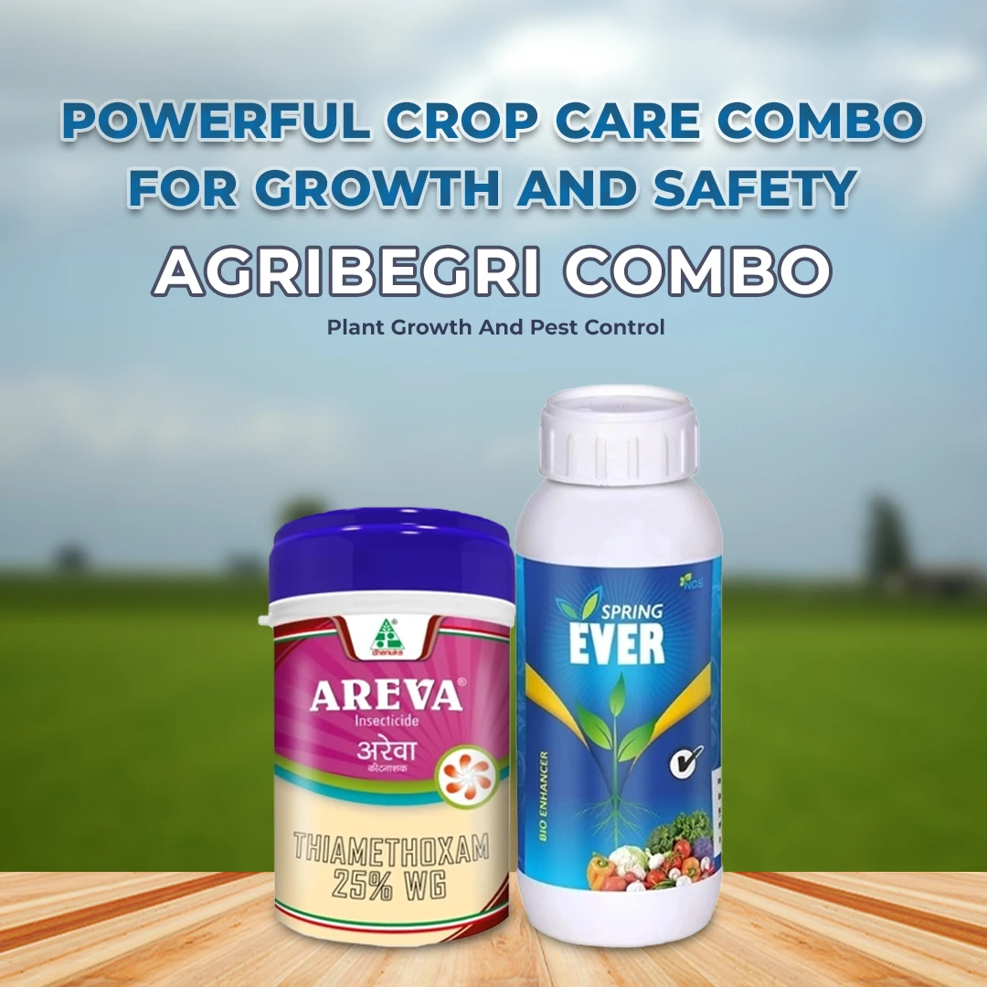 AgriBegri Super Combo (Areva 250 Gm + Spring Ever 1 Ltr) Plant Growth And Pest Control For Healthy Crops - Image 2