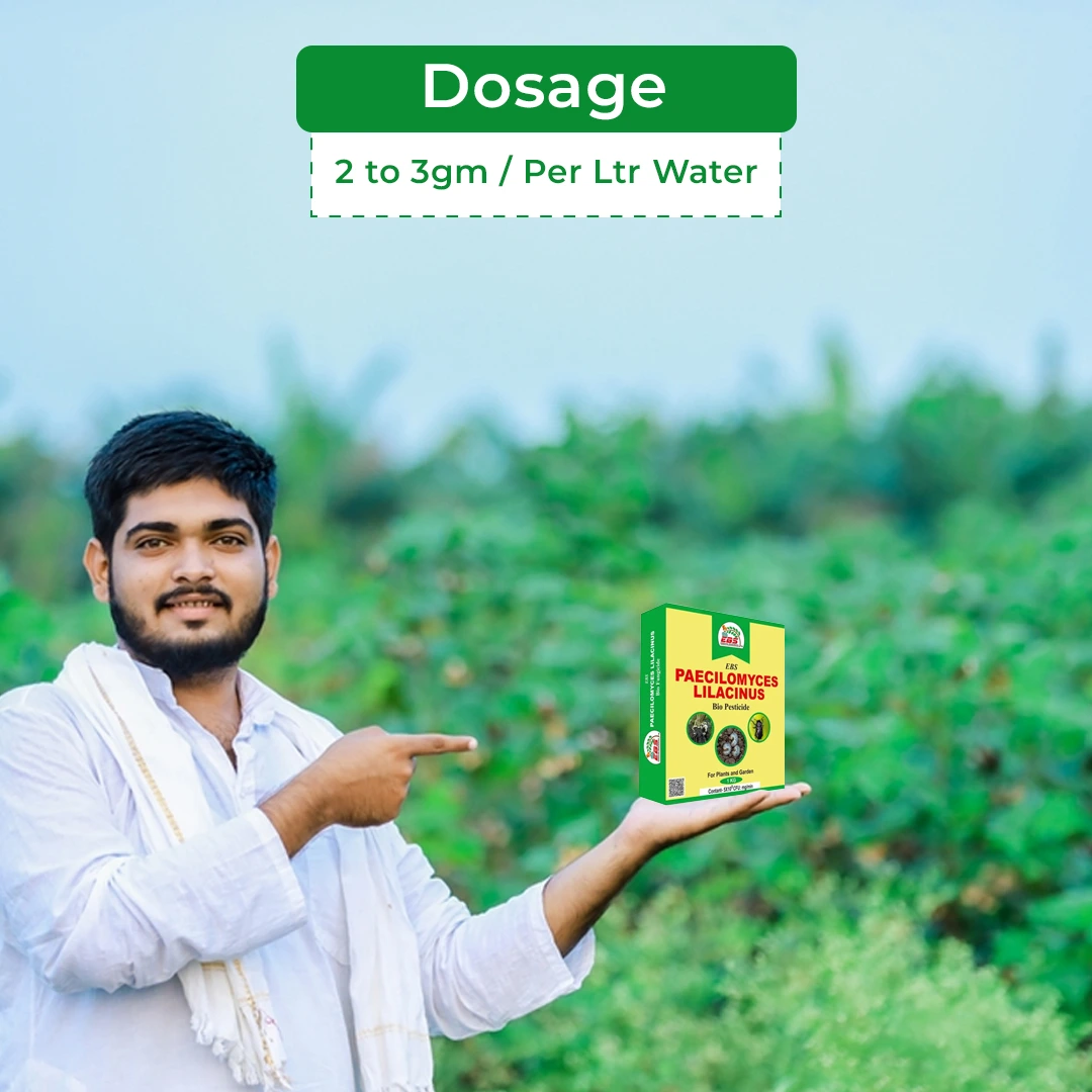 EBS Paecilomyces Lilacinus Bio Pesticide Control Root - Knot Nematode, Ramiform Nematode, Cyst Nematode, Golden Cyst Nematode of Many Crops - Image 5