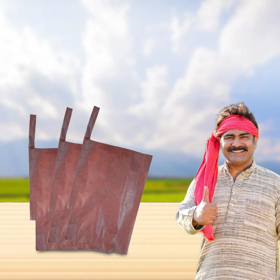 Radhe Mango Protection Bag - Image 5