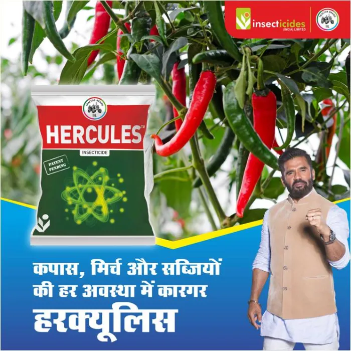 IIL HERCULES Diafenthiuron 40.1% + Acetamiprid 3.9% WP Insecticide, Effective For Sucking Pests Control In Multiple Crops - Image 3