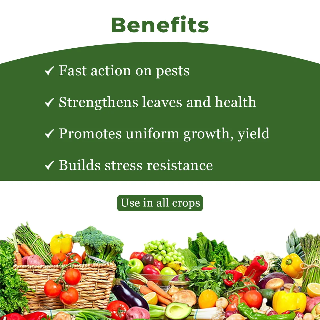 बीएसीएफ लीम्डो नीम ऑयल एजाडायरेक्टिन 1500 पीपीएम 0.15%, प्रणालीगत और संपर्क फफूंदनाशक। - Image 4