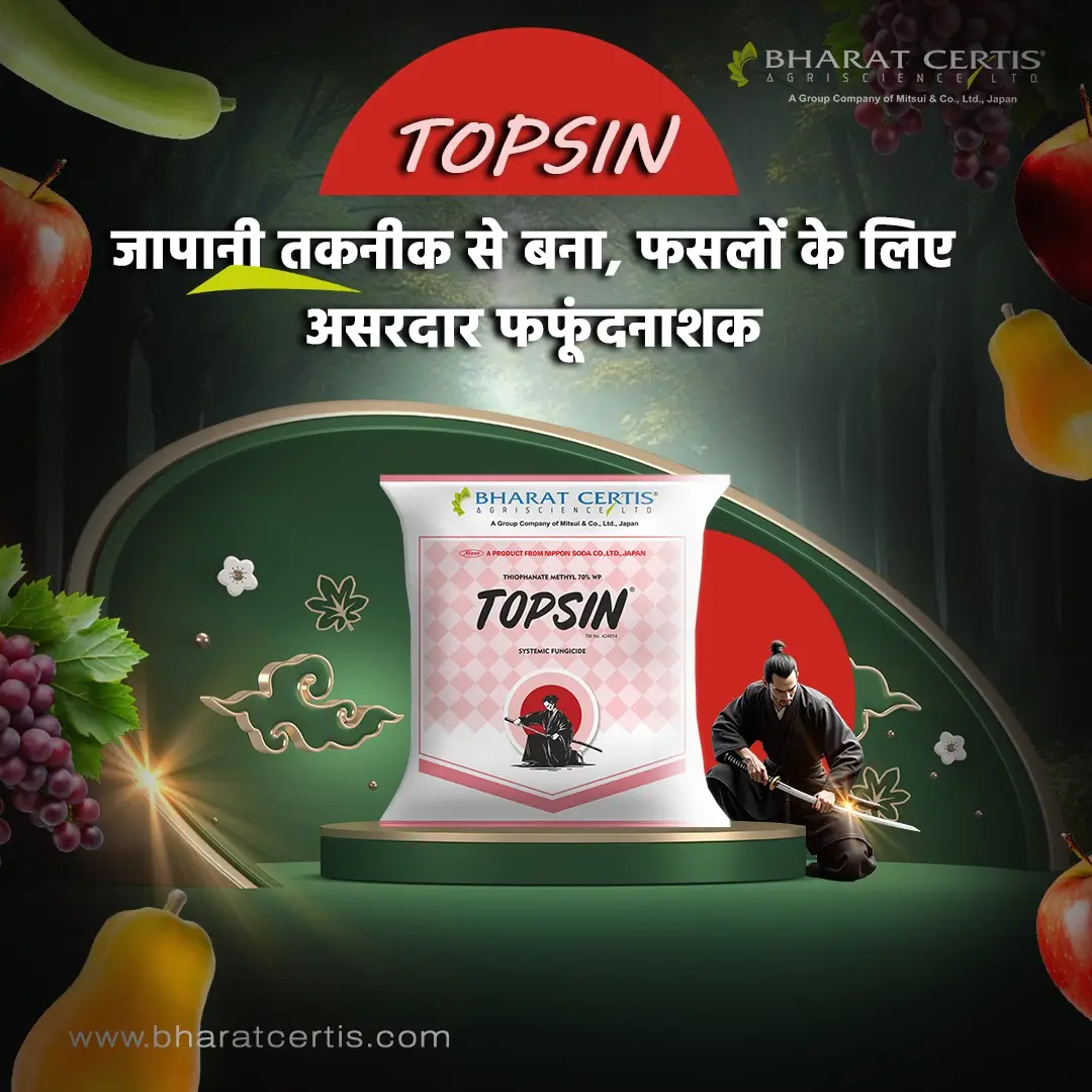 Bharat Certis Topsin Thiophanate Methyl 70% WP Systemic Fungicide, Controls Wide Range Of Fungal Diseases - Image 3