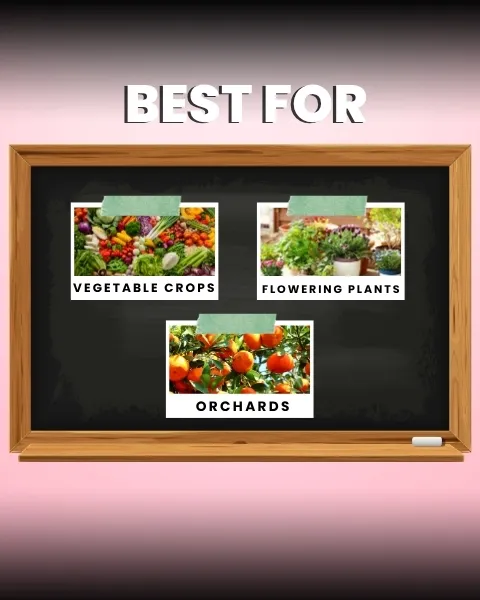 कात्यायनी फ्लावरिंग फर्टिलाइज़र बूस्टर सभी फूलों वाले पौधों के लिए, गुलाब, ऑर्किड, गुलमोहर, चमेली आदि के लिए मिश्रित माइक्रोन्यूट्रिएंट सुपर - Image 5