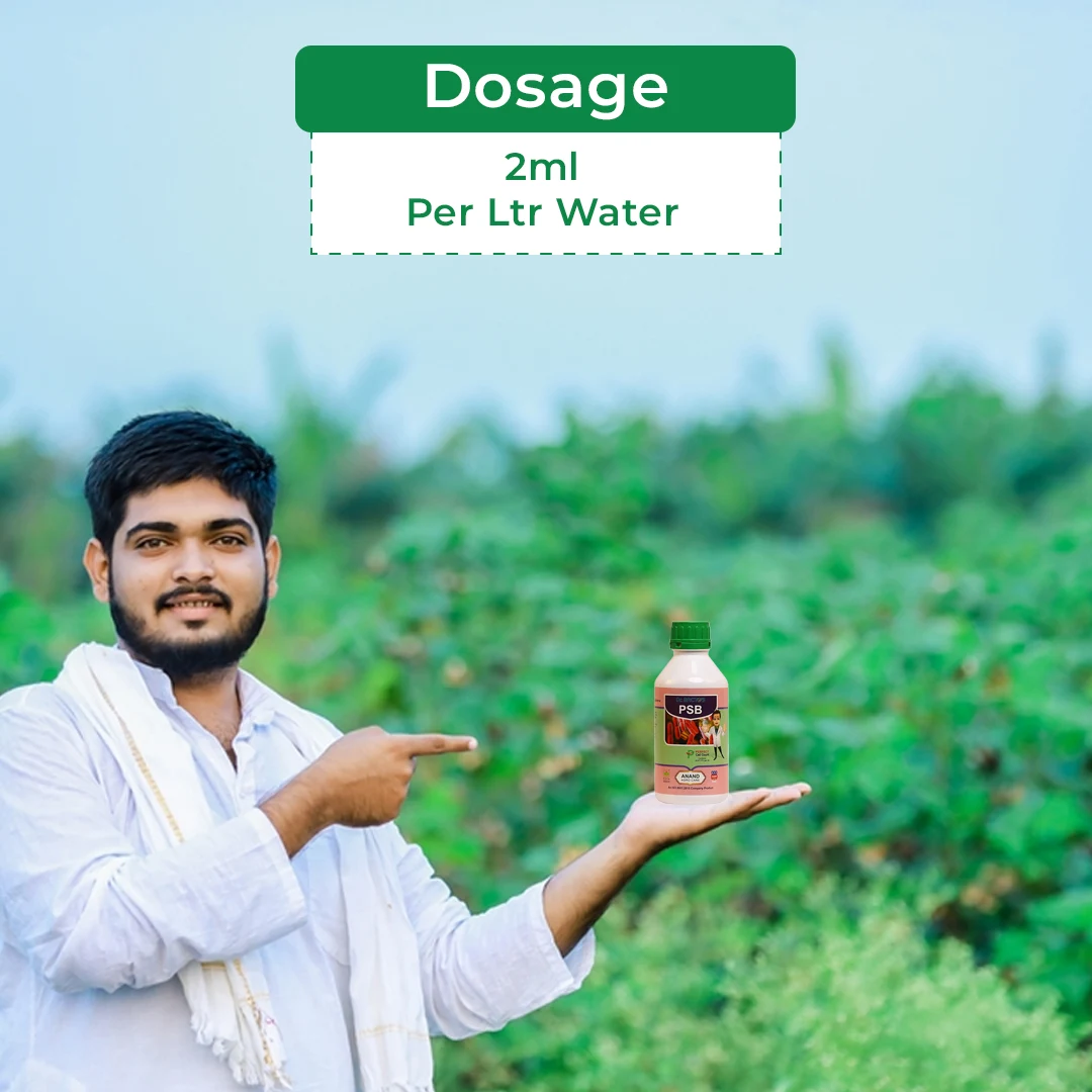 डॉ. बैक्टो पीएसबी - फॉस्फेट घुलनशील जीवाणु, ऑर्गेनिक उर्वरक, सुरक्षित, पर्यावरण के अनुकूल और किफायती कृषि इनपुट - Image 5