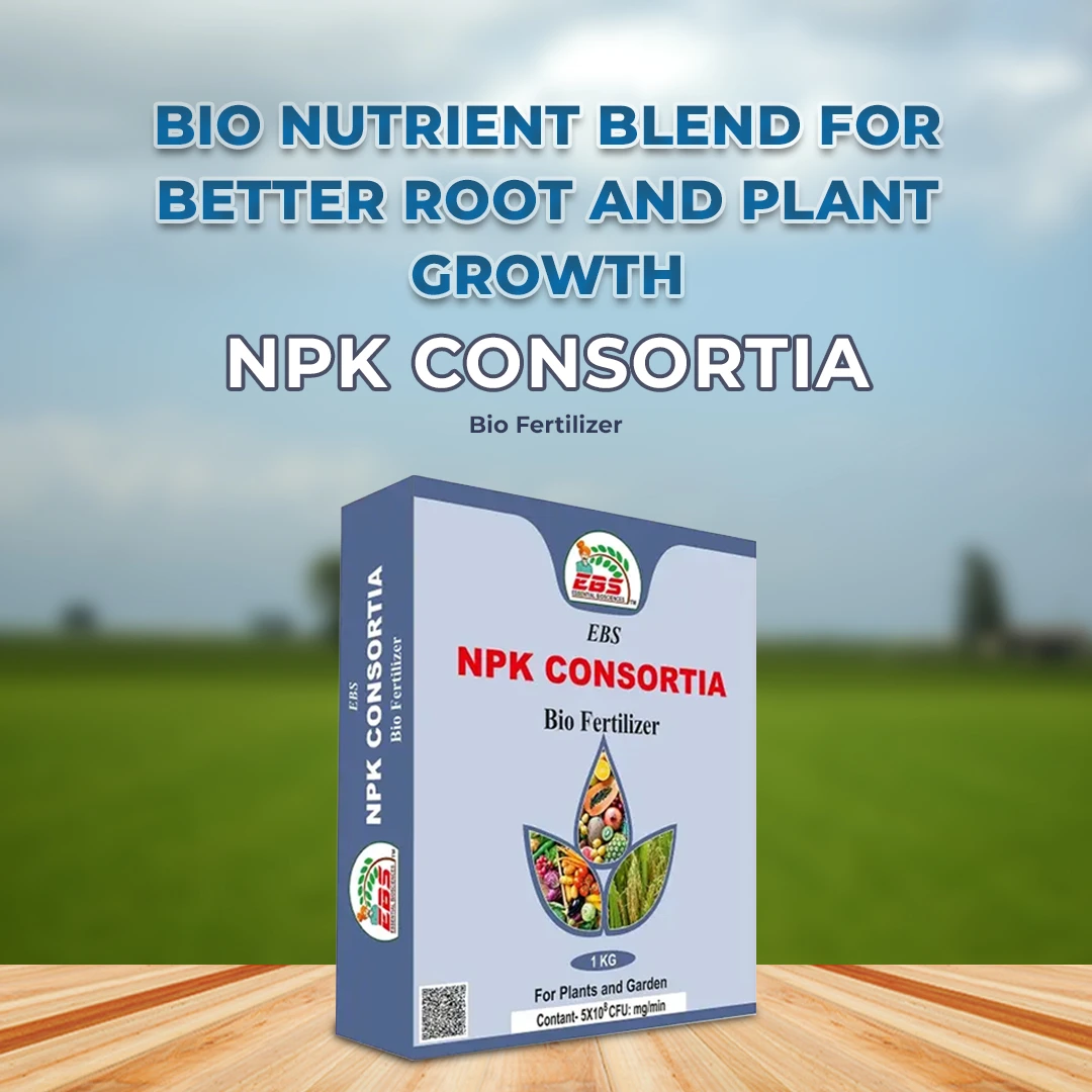 EBS NPK Consortia Bio Fertilizer, 5x10^8 Contains Bacteria that Fix Nitrogen and Phosphorus From the Atmosphere, Use for Plants & Garden - Image 2