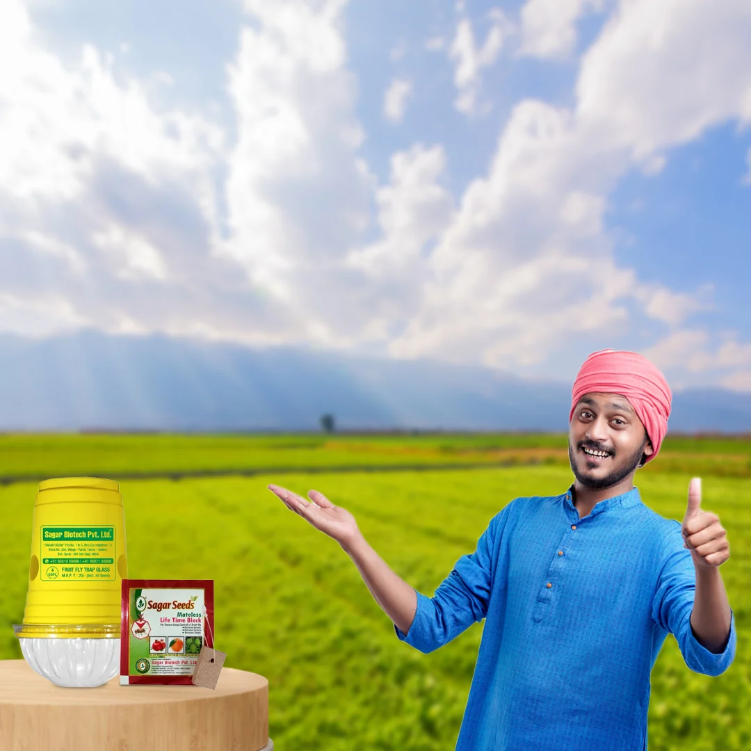 Sagar Fruit Fly Trap Glass, Bactocera Cucurbitae Lure, Effective Melon & Fruit Fly Control - Image 5